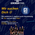 HSG Ahnatal/Calden weibliche C-Jugend